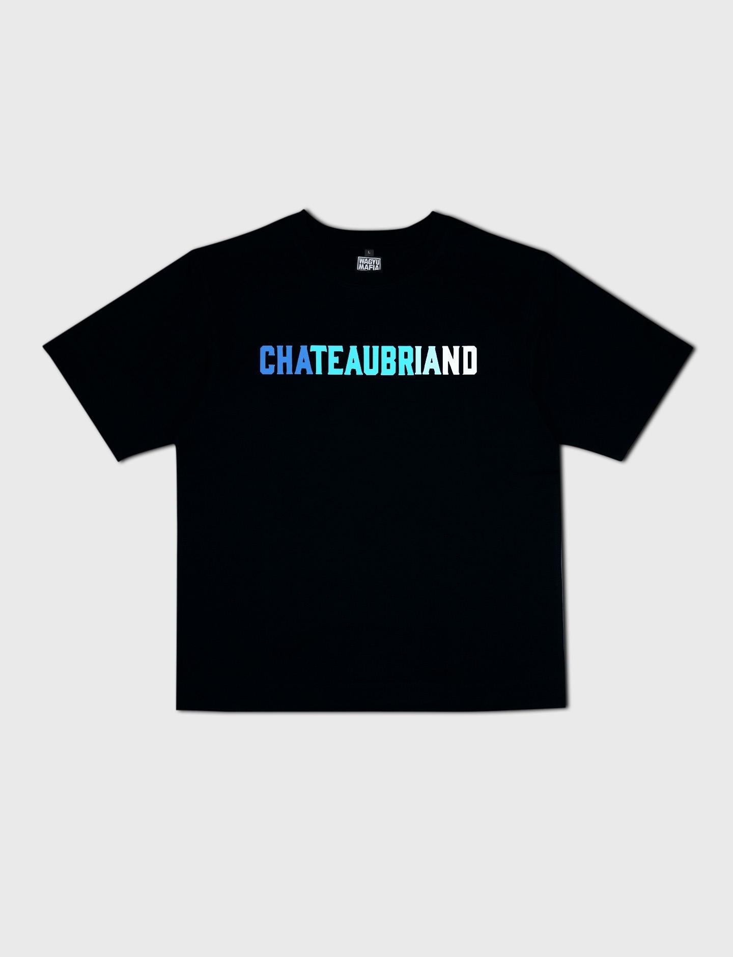 GRADATION CHATEAUBRIAND T SHIRT